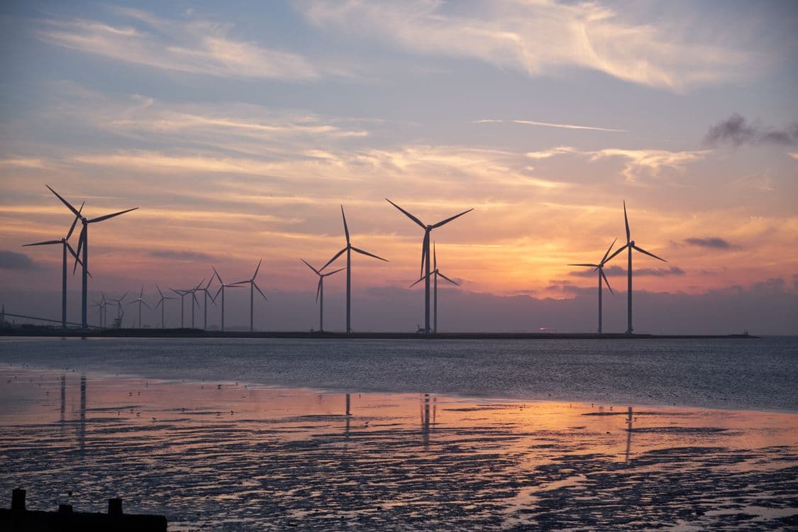 Renewable Energy